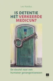 Omslag van Is detentie het verkeerde medicijn?
