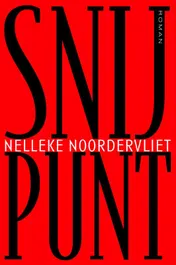 Omslag van Snijpunt