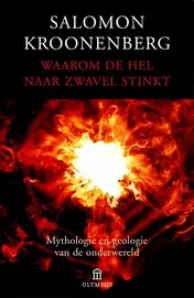 Omslag van Waarom de hel naar zwavel stinkt