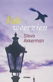 Omslag van Vals weerzien