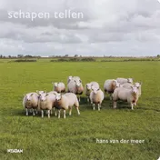 Omslag van Schapen tellen