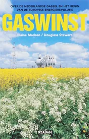 Omslag van Gaswinst