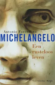 Omslag van Michelangelo