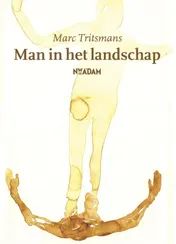 Omslag van Man in het landschap