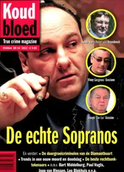 Omslag van Koud bloed