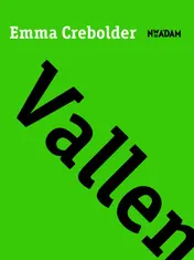 Omslag van Vallen