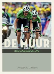 Omslag van 2015