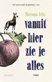 Omslag van Vanuit hier zie je alles