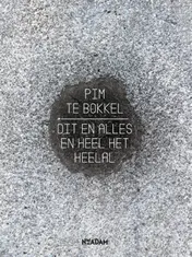Omslag van Dit en alles en heel het heelal