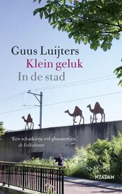 Omslag van Klein geluk In de stad