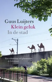 Omslag van Klein geluk In de stad