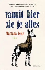 Omslag van Vanuit hier zie je alles