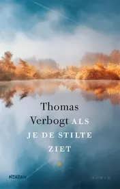 Omslag van Als je de stilte ziet