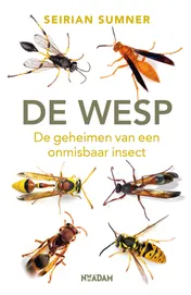 Omslag van De wesp