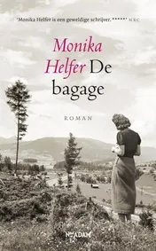 Omslag van De bagage