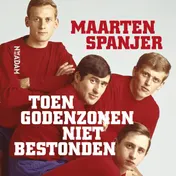 Omslag van Toen godenzonen niet bestonden