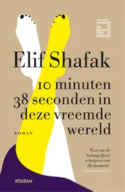 Omslag van 10 minuten 38 seconden in deze vreemde wereld