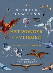 Omslag van Het wonder van vliegen