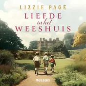 Omslag van Liefde in het weeshuis
