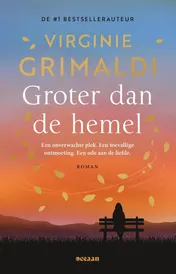 Omslag van Groter dan de hemel