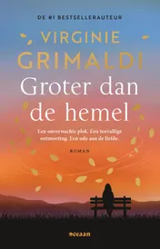 Omslag van Groter dan de hemel