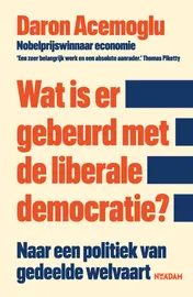 Omslag van Wat is er gebeurd met de liberale democratie?