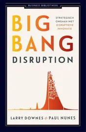 Omslag van Big bang disruption