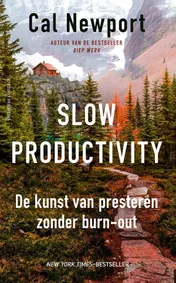 Omslag van Slow productivity
