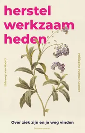 Omslag van Herstelwerkzaamheden