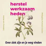 Omslag van Herstelwerkzaamheden