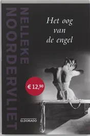 Omslag van Oog van de engel