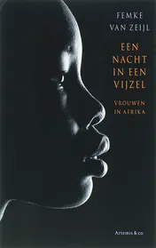 Omslag van Een nacht in een vijzel