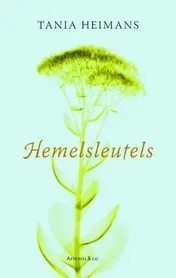 Omslag van Hemelsleutels