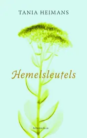 Omslag van Hemelsleutels