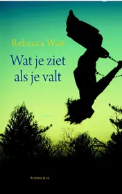 Omslag van Wat je ziet als je valt