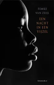 Omslag van Een nacht in een vijzel
