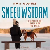 Omslag van Sneeuwstorm