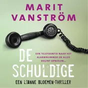 Omslag van De schuldige
