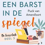 Omslag van Een barst in de spiegel