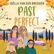 Omslag van Past perfect