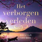 Omslag van Het verborgen verleden