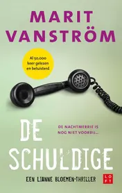 Omslag van De schuldige