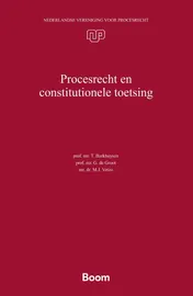 Omslag van Procesrecht en constitutionele toetsing