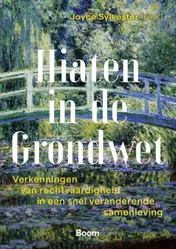 Omslag van Hiaten in de Grondwet
