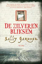 Omslag van De Zilveren bliksem