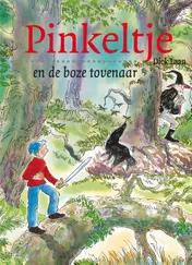 Omslag van Pinkeltje en de boze tovenaar