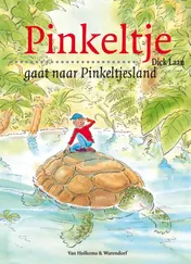 Omslag van Pinkeltje gaat naar Pinkeltjesland