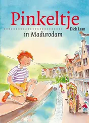 Omslag van Pinkeltje in Madurodam