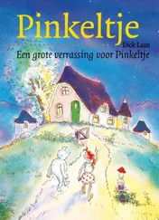 Omslag van Een grote verrassing voor Pinkeltje
