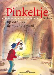 Omslag van Pinkeltje op zoek naar de maandiamant